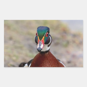 Sticker Rectangulaire Bois