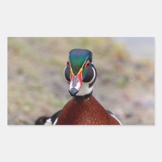 Sticker Rectangulaire Bois (Devant)