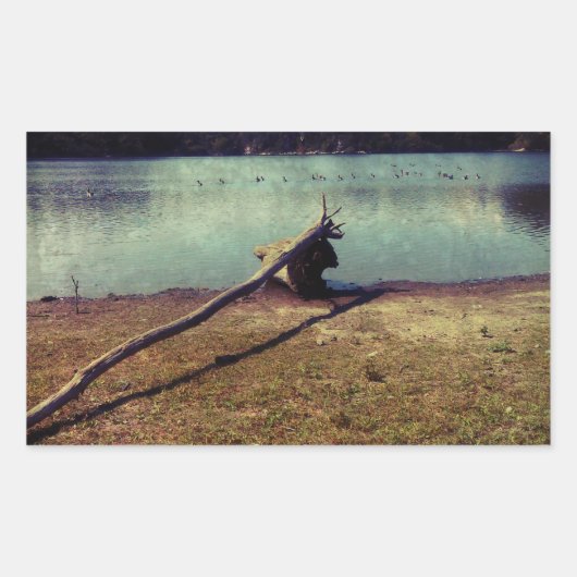 Sticker Rectangulaire Bois (Devant)