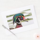 Sticker Rectangulaire Bois (Enveloppe)