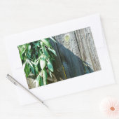 Sticker Rectangulaire Bois de Grange frais coupé (Enveloppe)