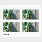 Sticker Rectangulaire Bois de Grange frais coupé (Feuille)