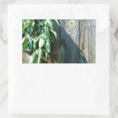 Sticker Rectangulaire Bois de Grange frais coupé (Sac)