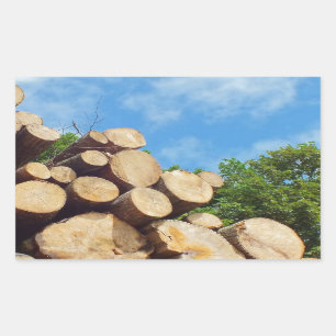 Sticker Rectangulaire bois fraîchement coupé dans la forêt sous un ciel