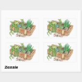 Sticker Rectangulaire Boite programmée succulent (Feuille)