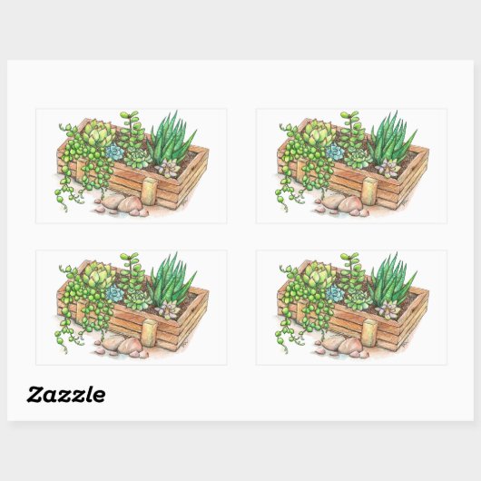 Sticker Rectangulaire Boite programmée succulent (Feuille)
