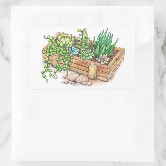 Sticker Rectangulaire Boite programmée succulent (Sac)