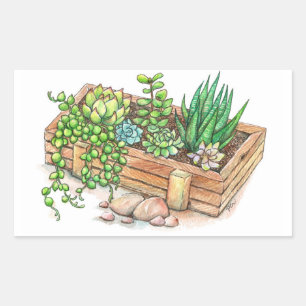Sticker Rectangulaire Boite programmée succulent