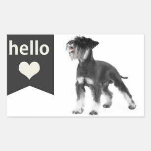 Sticker Rectangulaire Bonjour Chien Chiot Schnauzer Miniature Autocollan