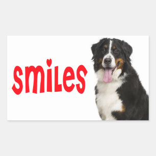 Sticker Rectangulaire Bonjour Papa Chien de Sauvetage Maman Chiot Montag