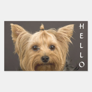 Sticker Rectangulaire Bonjour Yorkshire Terrier Yorkie Chien Chien Stick