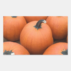 Sticker Rectangulaire Bonne Carving