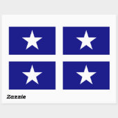 Sticker Rectangulaire Bonnie Pavillon bleu étoile blanche (Feuille)