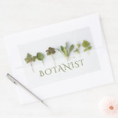 Sticker Rectangulaire Botaniste (Enveloppe)