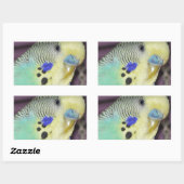 Sticker Rectangulaire Bougie/Parakeet Homme (Feuille)