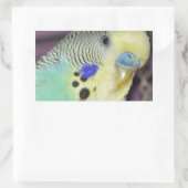 Sticker Rectangulaire Bougie/Parakeet Homme (Sac)