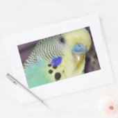 Sticker Rectangulaire Bougie/Parakeet Homme (Enveloppe)