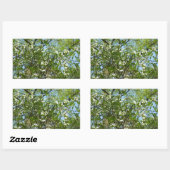 Sticker Rectangulaire Branche of Dogwood Blossoms Spring Trees (Feuille)