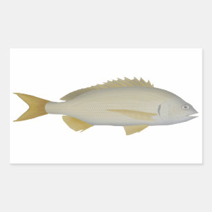 Sticker Rectangulaire Brème de Yellowfin