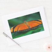 Sticker Rectangulaire Bright Orange and Black Butterfly on Leaf (Enveloppe)
