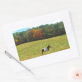 Sticker Rectangulaire Brown & cheval blanc, arbres d'automne, ciel bleu (Enveloppe)