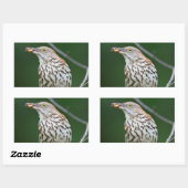 Sticker Rectangulaire Brown Thrasher avec / Catch Of The Day Cadeaux Vêt (Feuille)
