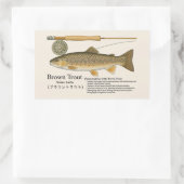 Sticker Rectangulaire Brown Trout (Salmo trutta) – English Illust (Sac)