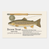 Sticker Rectangulaire Brown Trout (Salmo trutta) – English Illust (Devant)