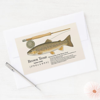 Sticker Rectangulaire Brown Trout (Salmo trutta) – English Illust