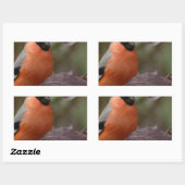 Sticker Rectangulaire Bull Finch (Feuille)