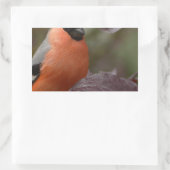 Sticker Rectangulaire Bull Finch (Sac)
