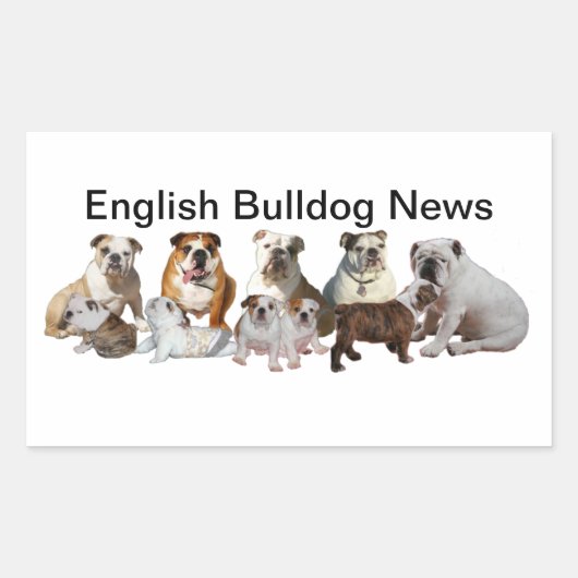 Sticker Rectangulaire Bulldog News anglais (Devant)
