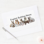 Sticker Rectangulaire Bulldog News anglais (Enveloppe)
