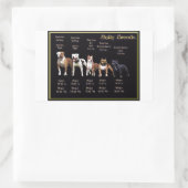 Sticker Rectangulaire Bully Breeds (Sac)