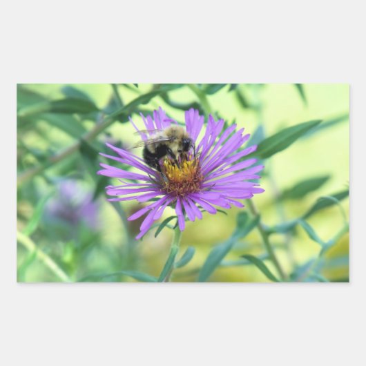 Sticker Rectangulaire Bumblebee sur Purple Daisy (Devant)