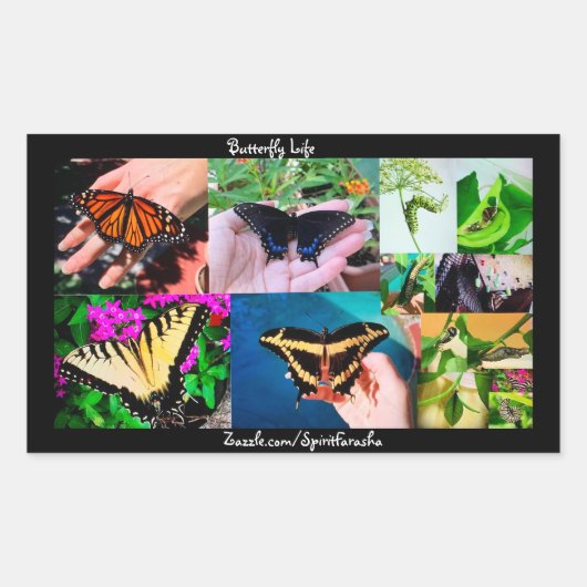 Sticker Rectangulaire Butterfly Life  (Devant)