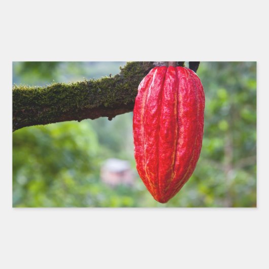 Sticker Rectangulaire cabosse rouge (Devant)