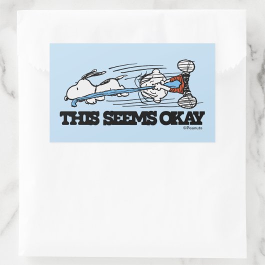 Sticker Rectangulaire cacahuètes | Snoopy & Linus (Sac)