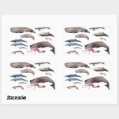 Sticker Rectangulaire Cachalot et zifios : Baleines des profondeurs (Feuille)