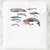 Sticker Rectangulaire Cachalot et zifios : Baleines des profondeurs (Sac)