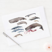Sticker Rectangulaire Cachalot et zifios : Baleines des profondeurs (Enveloppe)