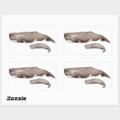 Sticker Rectangulaire Cachalot, mère et élevage (Feuille)