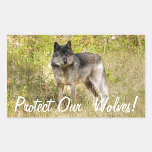 Sticker Rectangulaire Cadeau photo Gray Wolf & Wilderness