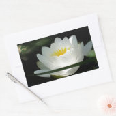 Sticker Rectangulaire Cadeaux de fleurs Lotus (Enveloppe)