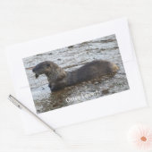 Sticker Rectangulaire Cadeaux de l'autocollant faunique "Otter Lover" (Enveloppe)