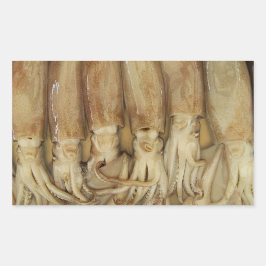 Sticker Rectangulaire Calamari (Devant)