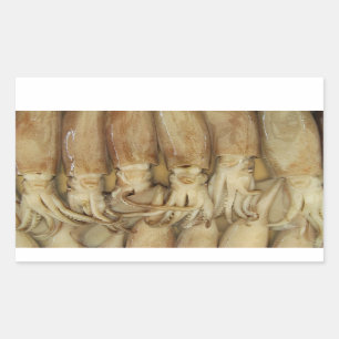 Sticker Rectangulaire Calamari