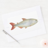 Sticker Rectangulaire Camapuã (Enveloppe)