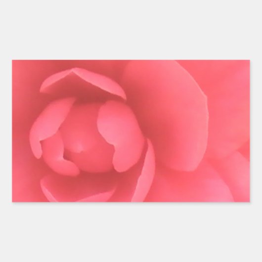 Sticker Rectangulaire Camellia rose (Devant)