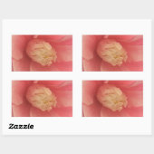 Sticker Rectangulaire Camellia rose (Feuille)